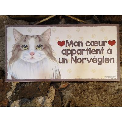 Plaque chat Norvégien