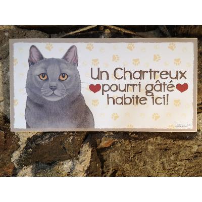 Plaque chat Chartreux