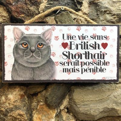 Plaque chat British shorthair